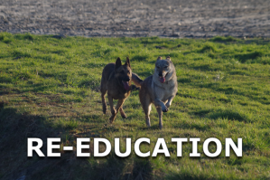 Bouton reeducation